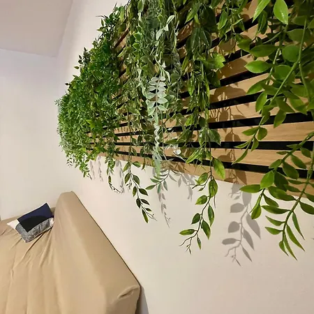 Apartment Vicolo 20